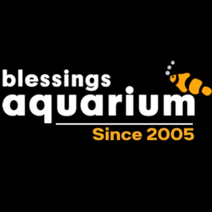 Blessings Aquarium