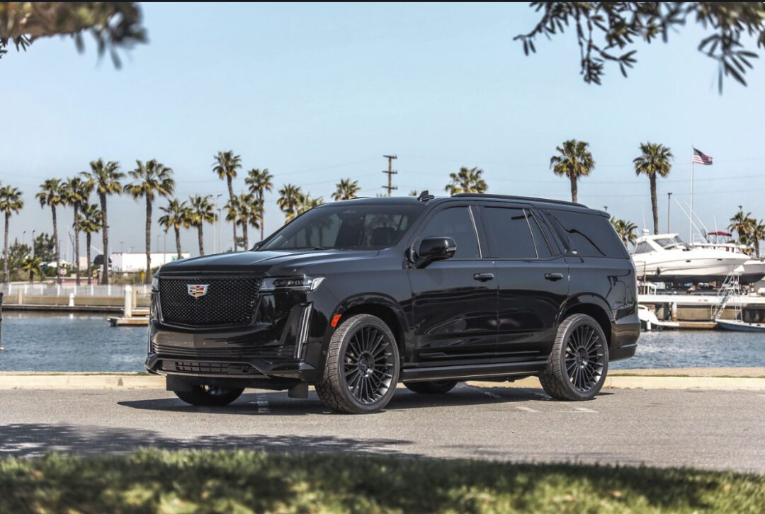 Fisher Luxury Rental